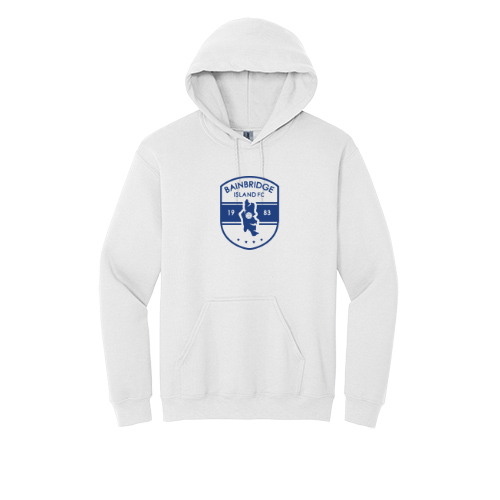 BIFC Heavy Blend Hoody
