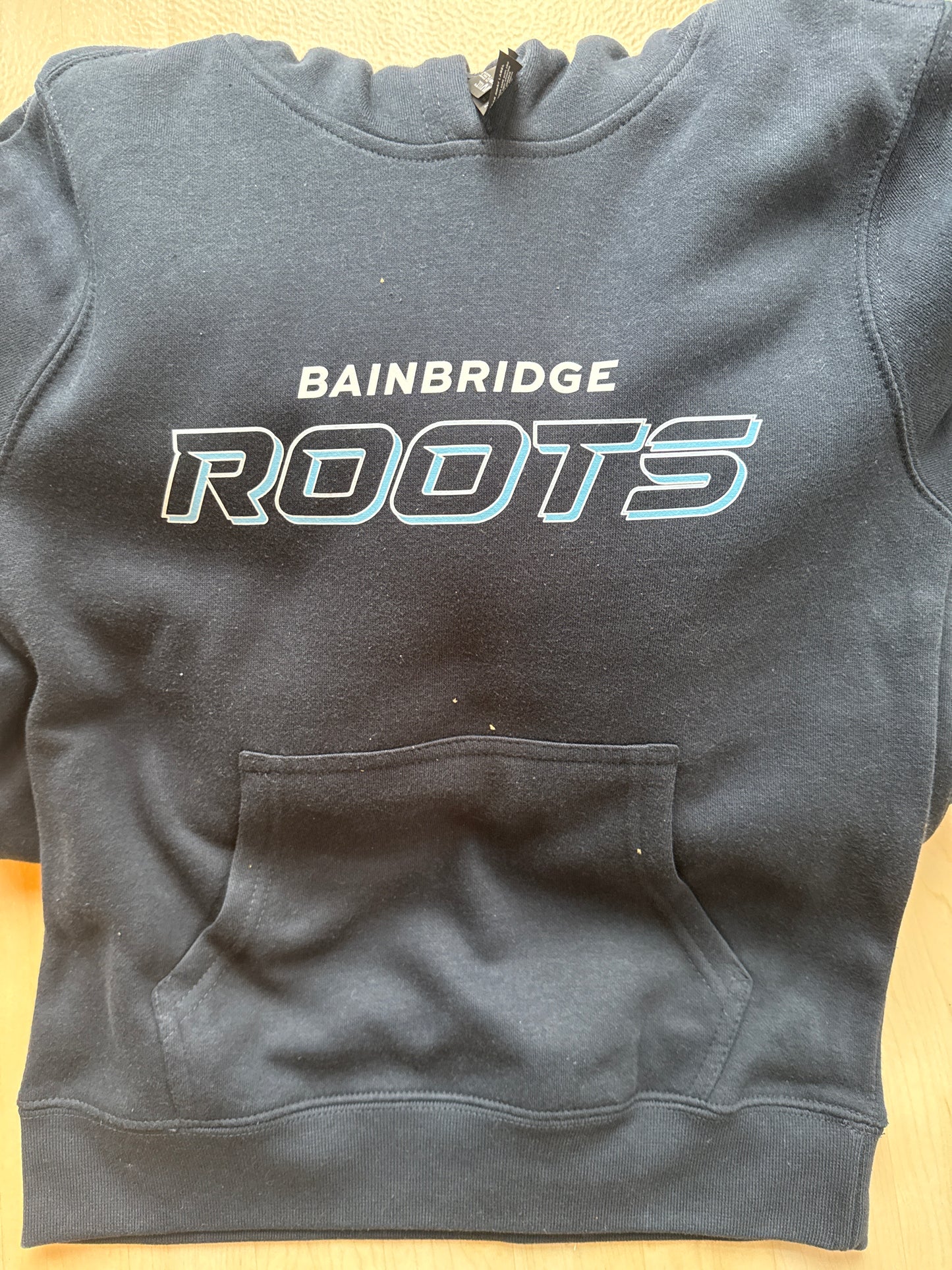 Hooded Sweatshirt "Bainbridge ROOTS" - District