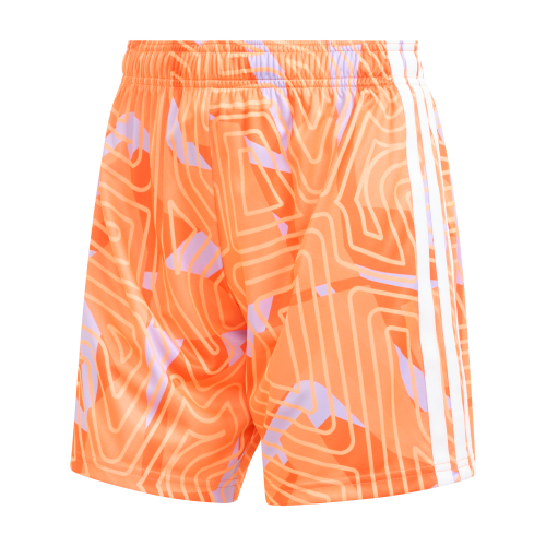 BIFC GK Game Short - Primary