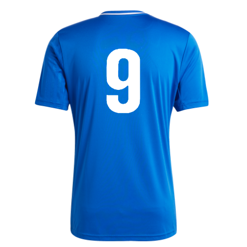 BIFC Away Jersey