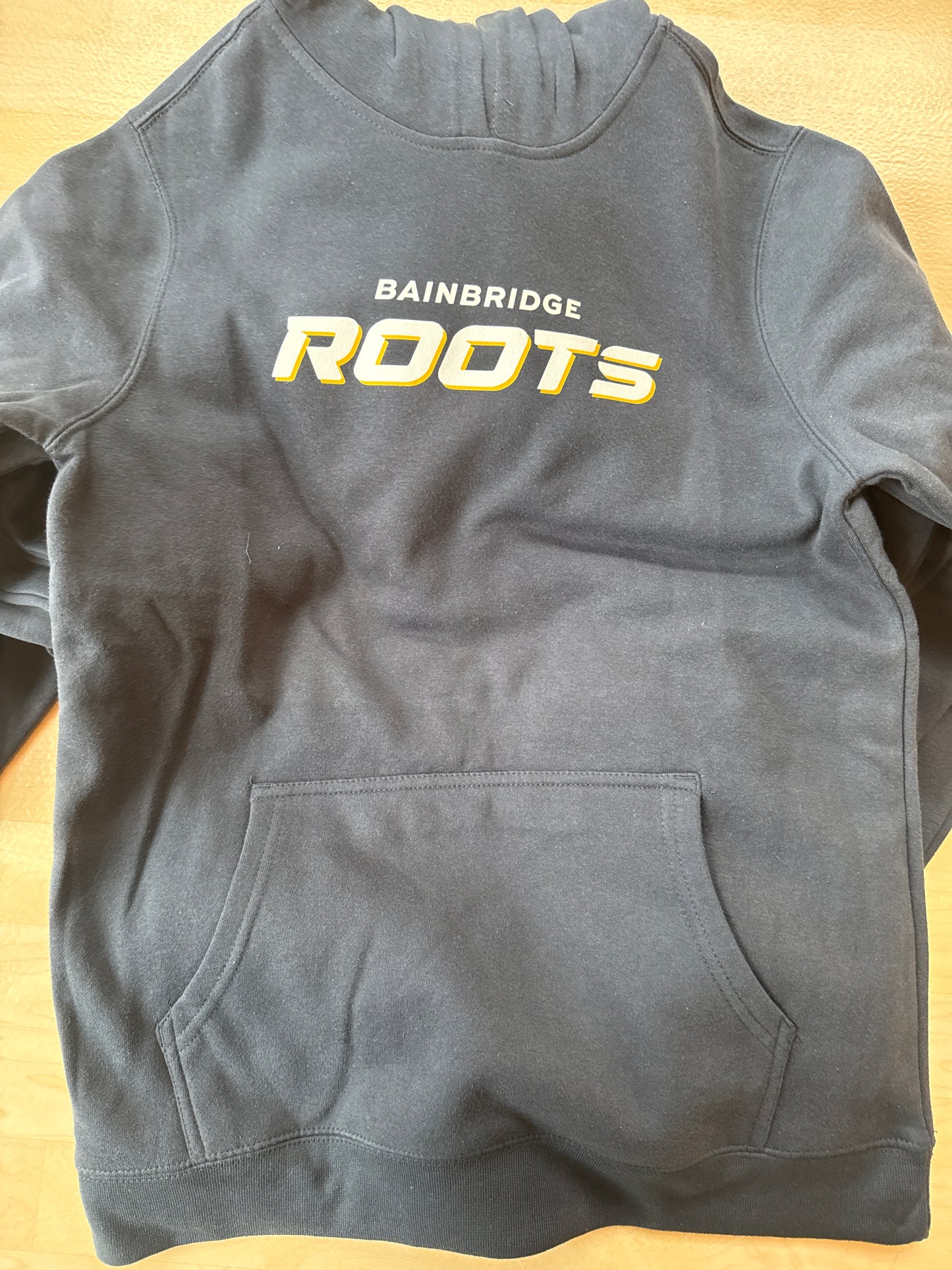 Hooded Sweatshirt "Bainbridge ROOTS" - District