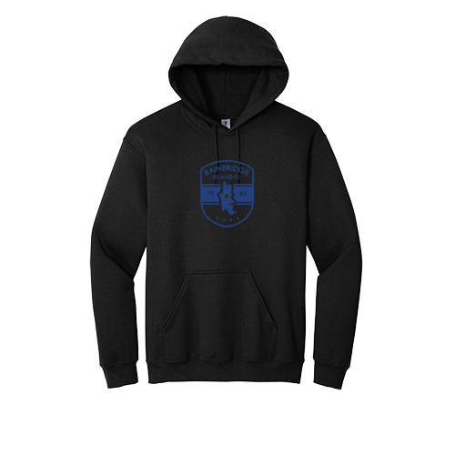 BIFC Heavy Blend Hoody
