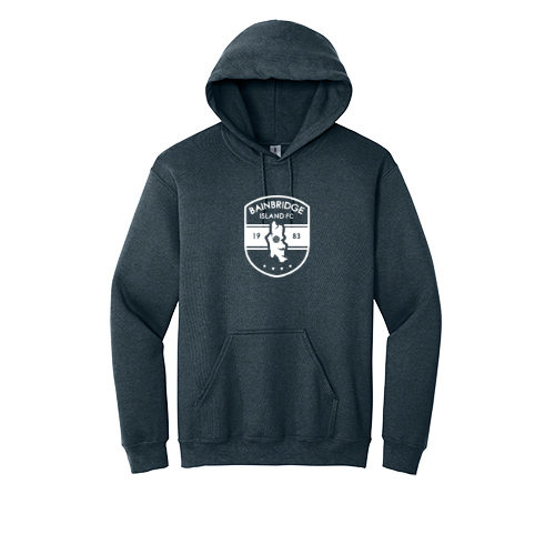 BIFC Heavy Blend Hoody