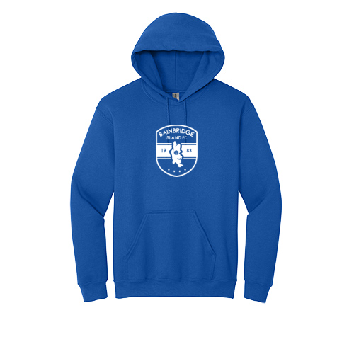BIFC Heavy Blend Hoody
