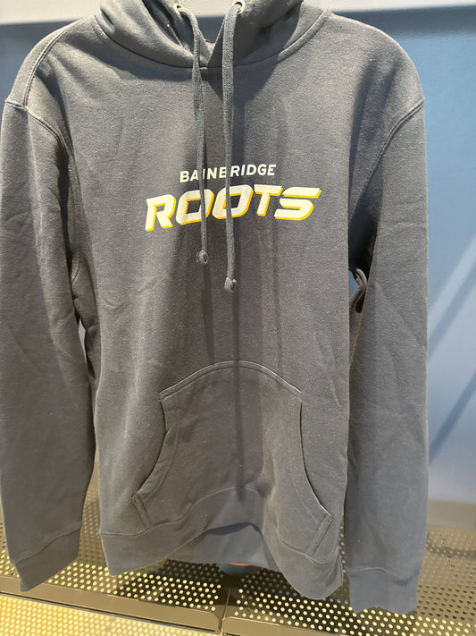 Hooded Sweatshirt "Bainbridge ROOTS" - District